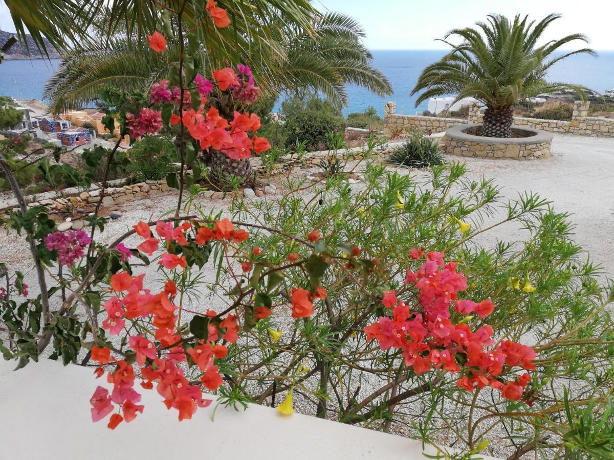 Tranquil Villa With Sea View In Ammopi Karpathos Амоопи Екстериор снимка